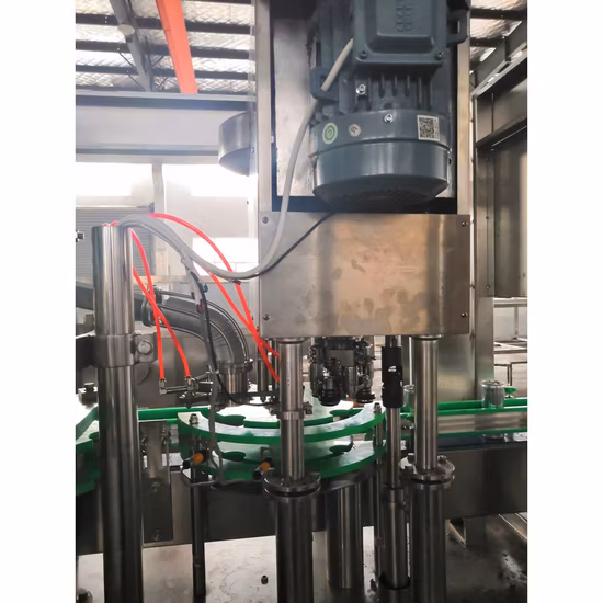 12개의 노즐 회전식 소형 캔 병에 넣어진 바다 소금 분말 충전물 기계